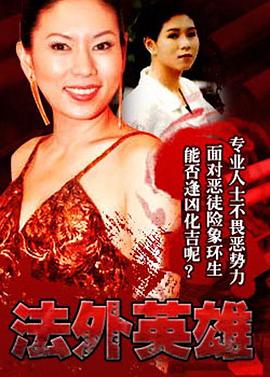 法外英雄国语 1995 电视剧 海报