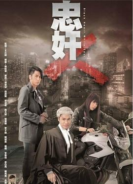 忠奸人 2014 电视剧 海报