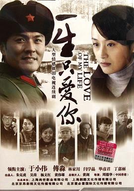 一生只爱你 2012 电视剧 海报