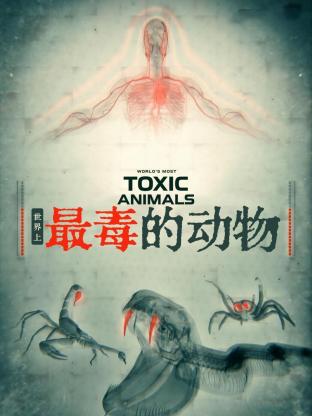 世界上最毒的动物 2023 纪录片 海报