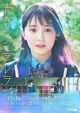 青春灰姑娘 2022 电视剧 海报