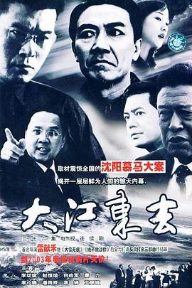大江东去2003 2003 电视剧 海报