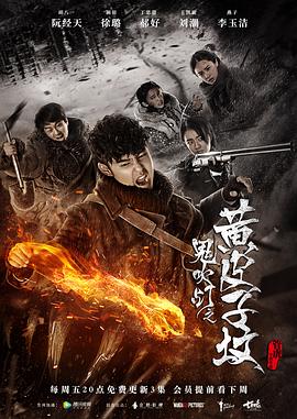 鬼吹灯之黄皮子坟2017 2017 电视剧 海报