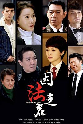 因法之名 2019 电视剧 海报