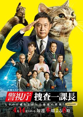警视厅·搜查一课长 第六季 2022 电视剧 海报