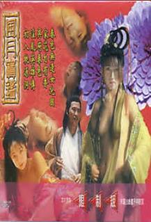 风月宝鉴之初入桃源洞 1999 电影 海报
