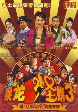 乘龙怪婿第三季 2007 电视剧 海报