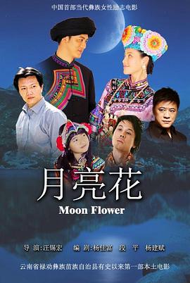 月亮花 2013 电影 海报