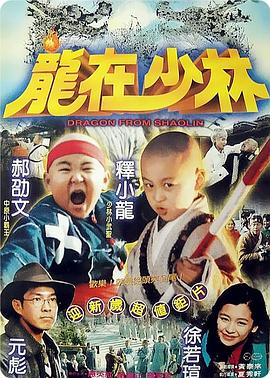 龙在少林 1996 电影 海报