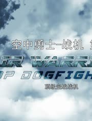 战机:空中勇士 第七季 2020 纪录片 海报