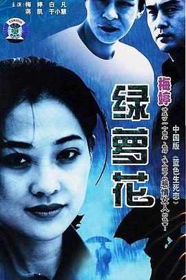 绿萝花 2001 电视剧 海报