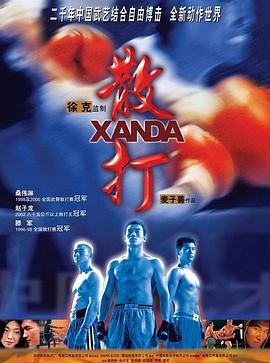 散打粤语 2004 电影 海报