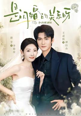 是闪婚的关系呀 2026 短剧 海报