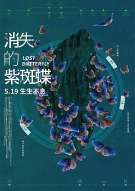 消失的紫斑蝶 2023 纪录片 海报
