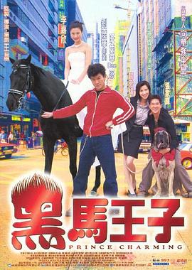 黑马王子国语 1999 电影 海报