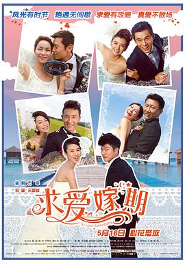 求爱嫁期 2014 电影 海报