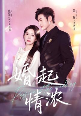 婚起情浓 2026 短剧 海报