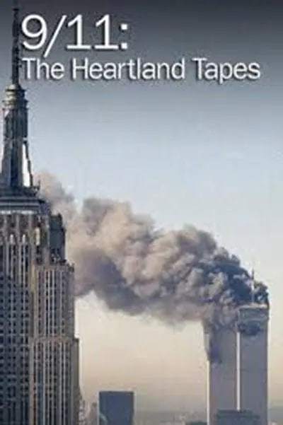 911:美国心脏 2013 纪录片 海报