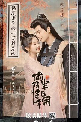 偷得将军半日闲 2024 电视剧 海报