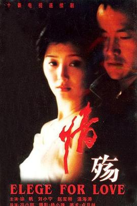 情殇 1995 电视剧 海报