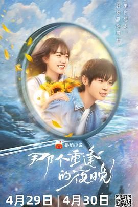 那个重逢的夜晚 2024 电视剧 海报