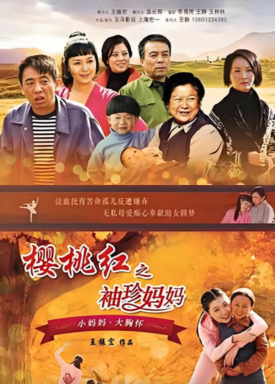 樱桃红之袖珍妈妈 2014 电视剧 海报