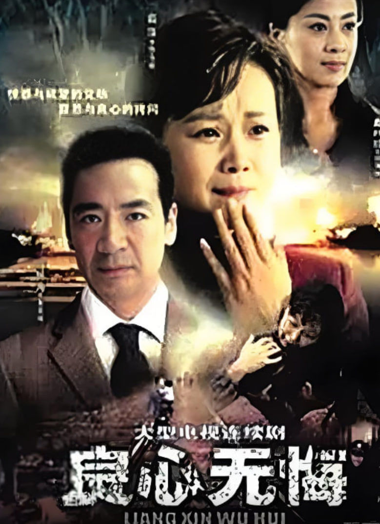 良心无悔 2009 电视剧 海报