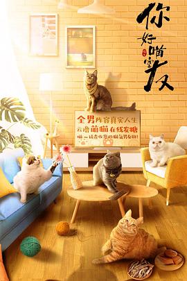 你好喵室友 2020 电视剧 海报