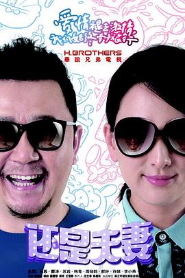 还是夫妻 2016 电视剧 海报