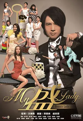 My盛Lady 2013 电视剧 海报