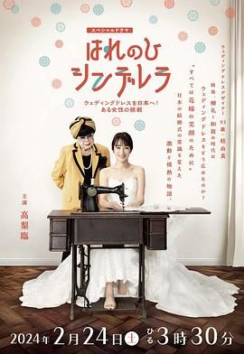 晴天灰姑娘 把婚纱带到日本!一位女性的挑战 2024 电视剧 海报