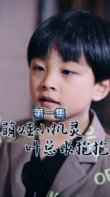 萌宝小机灵,叶总求抱抱 2024 短剧 海报