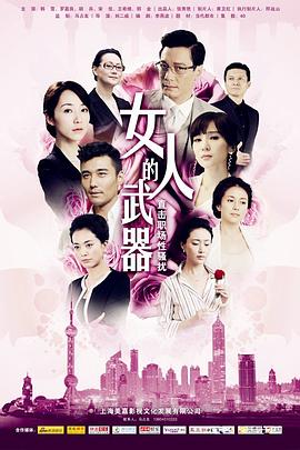 女人的武器 2012 电视剧 海报