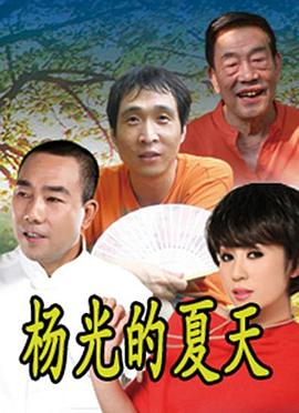 杨光的夏天 2012 电视剧 海报