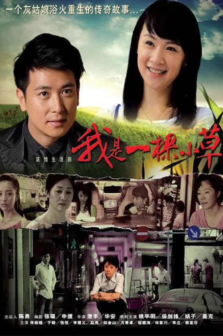 我是一棵小草 2009 电视剧 海报