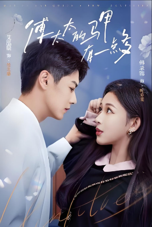 傅太太的马甲有一点多 2025 短剧 海报