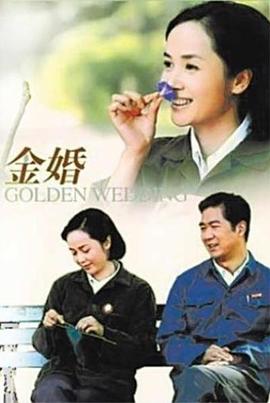 金婚2007 2007 电视剧 海报