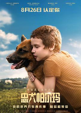 忠犬帕尔玛 2021 电影 海报