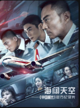 见证8633英雄机组奇迹的“那一天” 2019 纪录片 海报
