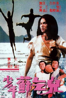 少年苏乞儿 1985 电影 海报