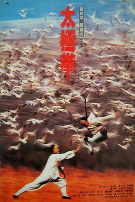 功夫小子闯情关 1996 电影 海报