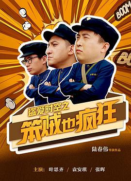 盗爱时空之笨贼也疯狂 2017 电影 海报
