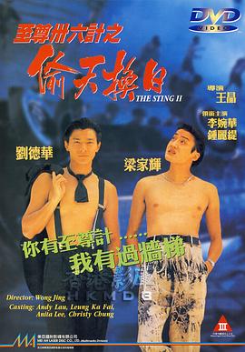 至尊三十六计之偷天换日 1993 电影 海报
