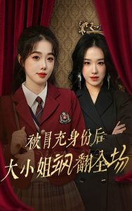 被冒充身份后大小姐飒翻全场 2024 短剧 海报