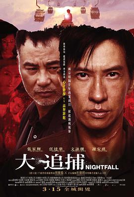 大追捕(普通话版 2012 电影 海报