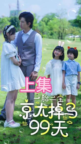 一胎两宝,京太掉马99天 2023 短剧 海报