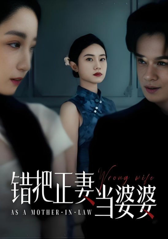 错把正妻当婆婆 2025 短剧 海报
