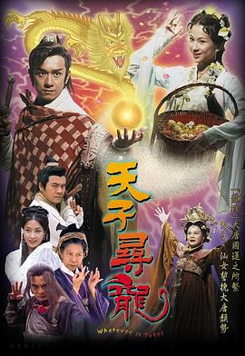 天子寻龙 2003 电视剧 海报