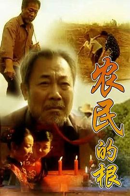 农民的根 2007 电视剧 海报