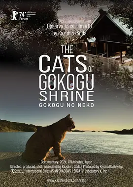 五香宫的猫 2024 纪录片 海报